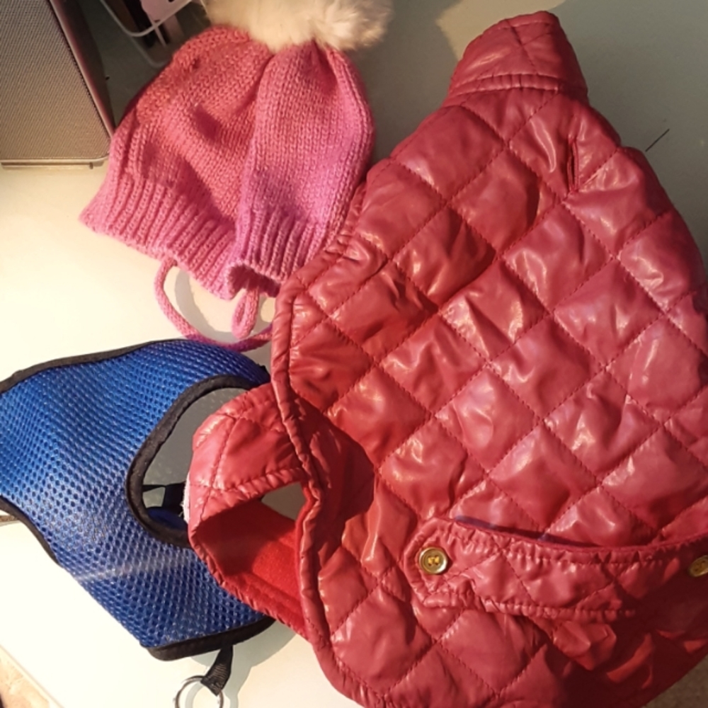 Never used dog clothes